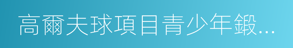 高爾夫球項目青少年鍛煉等級標準的同義詞