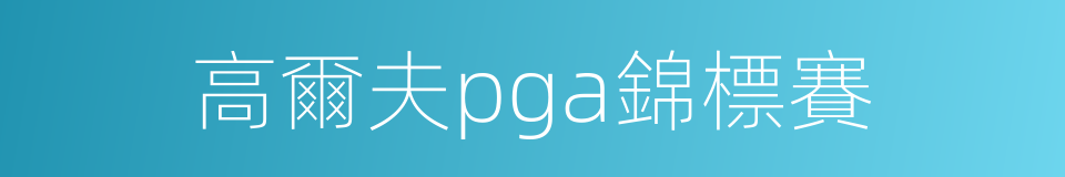 高爾夫pga錦標賽的同義詞