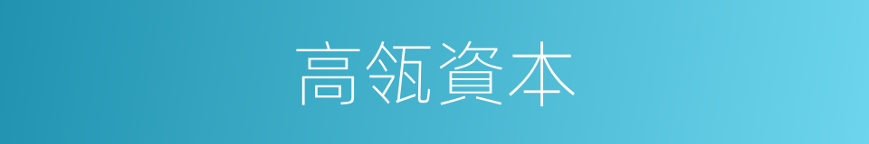 高瓴資本的同義詞
