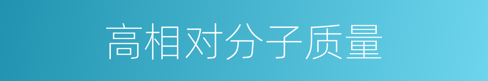 高相对分子质量的同义词