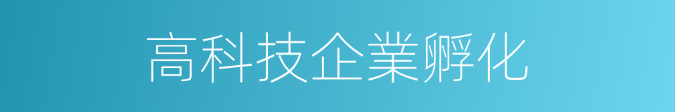 高科技企業孵化的同義詞