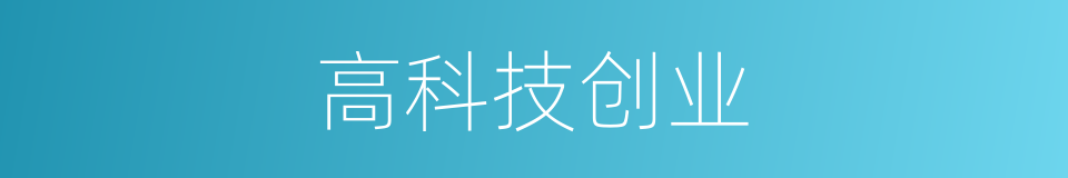 高科技创业的同义词