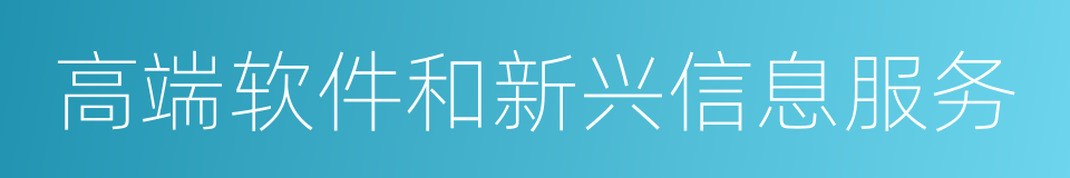 高端软件和新兴信息服务的同义词