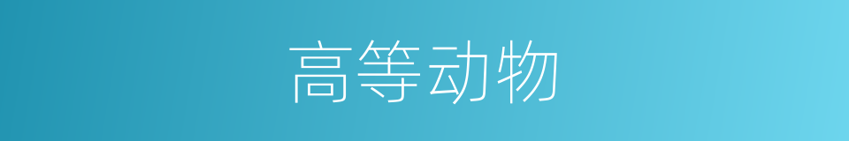 高等动物的意思