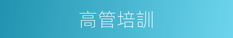 高管培訓的同義詞