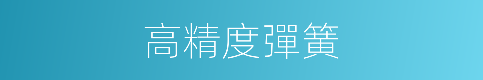 高精度彈簧的同義詞