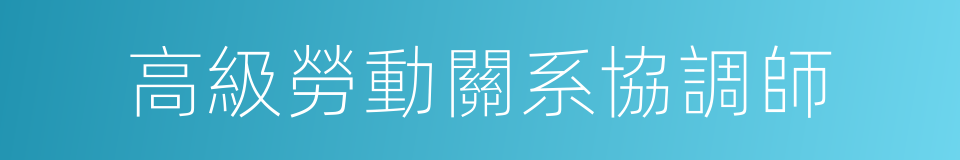 高級勞動關系協調師的同義詞