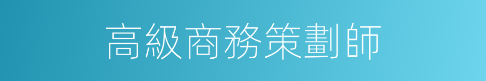 高級商務策劃師的同義詞