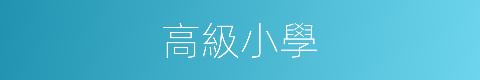 高級小學的意思