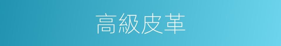 高級皮革的同義詞
