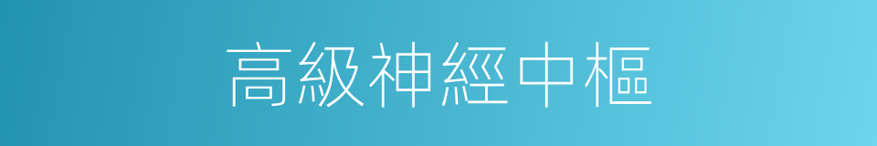 高級神經中樞的意思