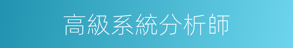 高級系統分析師的同義詞