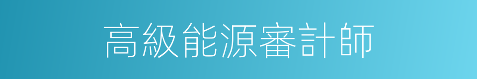 高級能源審計師的同義詞