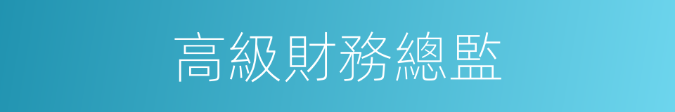高級財務總監的同義詞