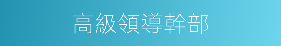 高級領導幹部的同義詞