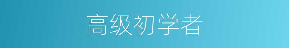 高级初学者的同义词