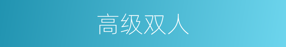 高级双人的同义词