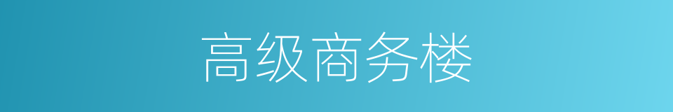 高级商务楼的同义词