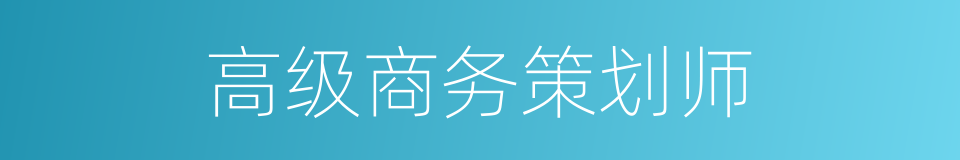 高级商务策划师的同义词