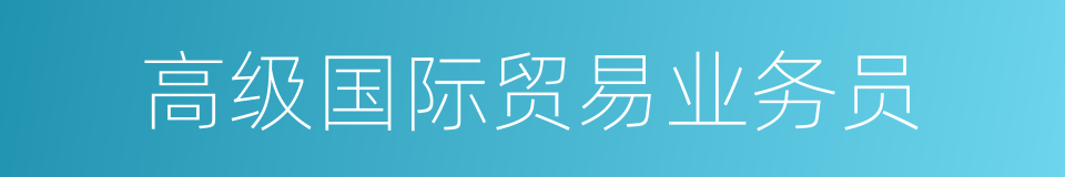 高级国际贸易业务员的同义词