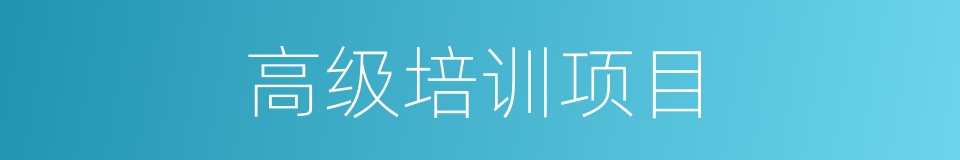 高级培训项目的同义词