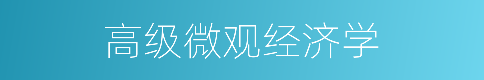 高级微观经济学的同义词