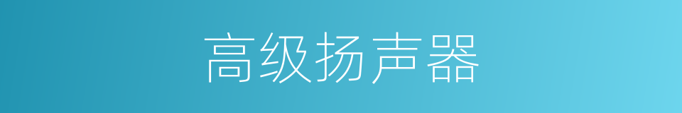 高级扬声器的同义词