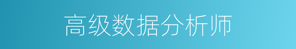 高级数据分析师的同义词