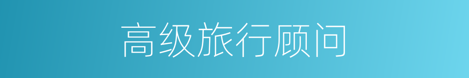 高级旅行顾问的同义词