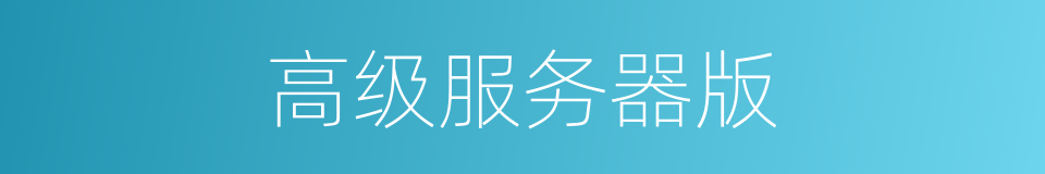 高级服务器版的同义词