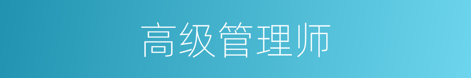 高级管理师的同义词