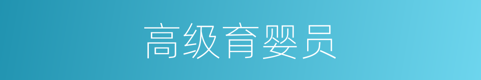 高级育婴员的同义词