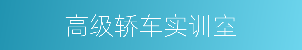 高级轿车实训室的同义词