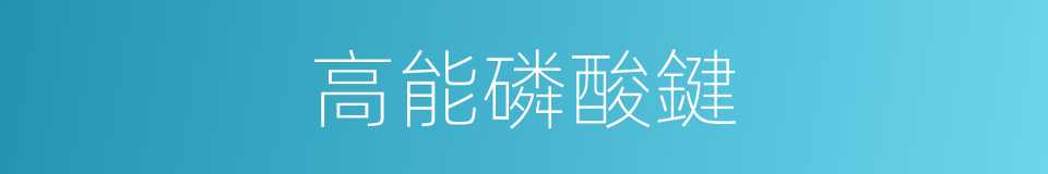 高能磷酸鍵的同義詞