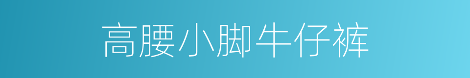 高腰小脚牛仔裤的同义词