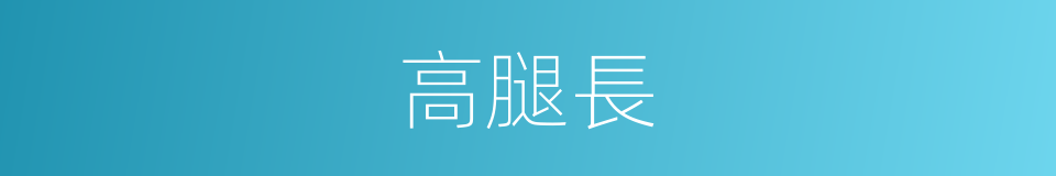 高腿長的同義詞