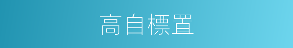 高自標置的意思