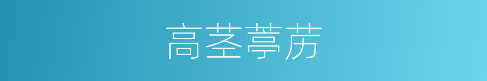 高茎葶苈的同义词