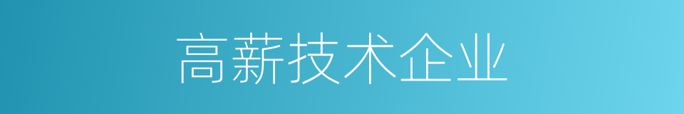 高薪技术企业的同义词