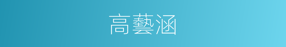 高藝涵的同義詞