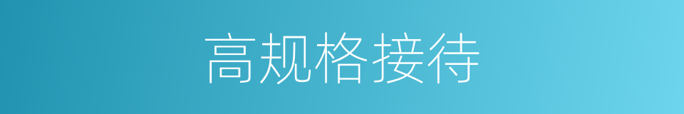 高规格接待的同义词