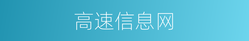 高速信息网的同义词