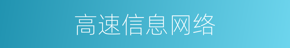 高速信息网络的同义词