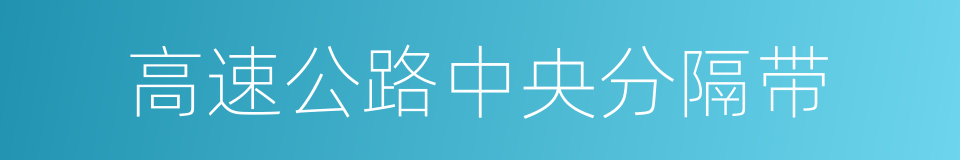 高速公路中央分隔带的同义词