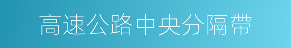 高速公路中央分隔帶的同義詞