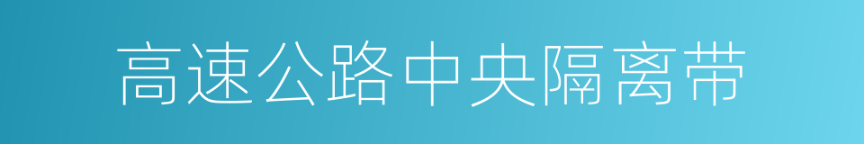 高速公路中央隔离带的同义词