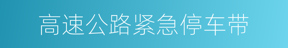 高速公路紧急停车带的同义词