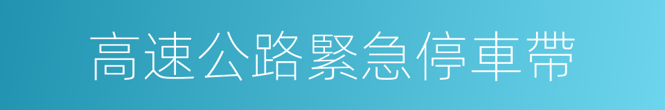 高速公路緊急停車帶的同義詞