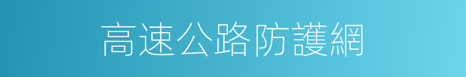 高速公路防護網的同義詞