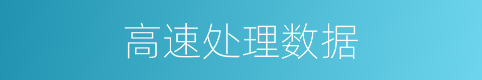 高速处理数据的同义词
